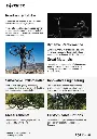quotation-3bike.webp