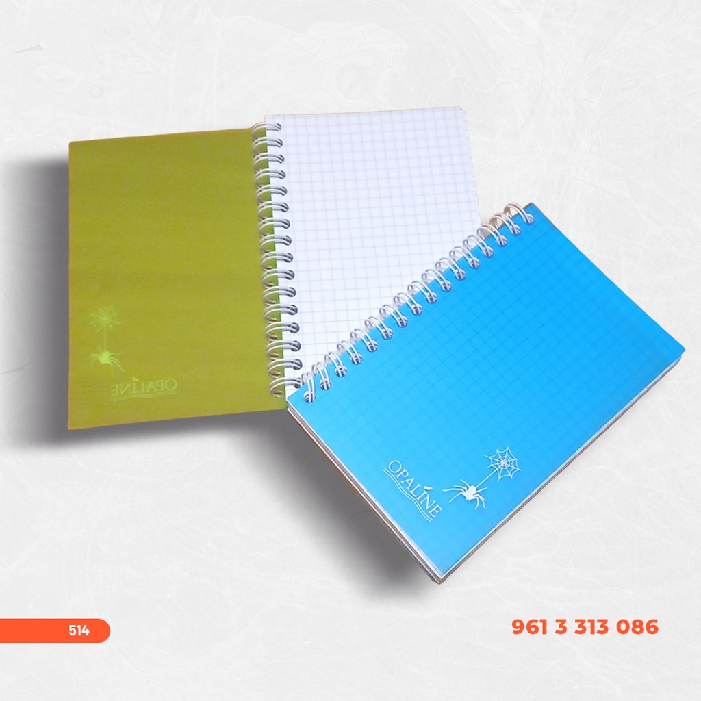 CARNET OPALINE 96 SPIRALE